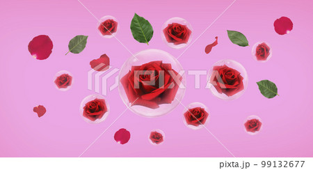 Red rose in bubble with green leaves and rose petals on pink background Red rose in bubble with green leaves and rose petals on pink background 99132677