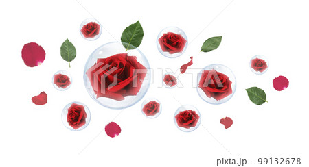Red rose in bubble with green leaves and rose petals on white background Red rose in bubble with green leaves and rose petals on white background 99132678