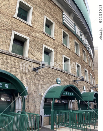 2023年2月12日 阪神甲子園球場の写真素材 [99133013] - PIXTA
