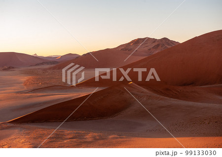 Climbing Dune 45 at sunrise 99133030