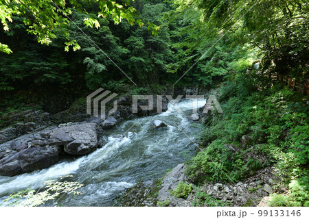 三段峡 大自然の絶景・秘境スポット 広島県安芸太田町 初夏の新緑 三段峡 大自然の絶景・秘境スポット 広島県安芸太田町 初夏の新緑 99133146