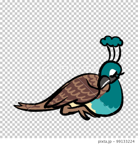 孔雀圖 孔雀圖 99133224