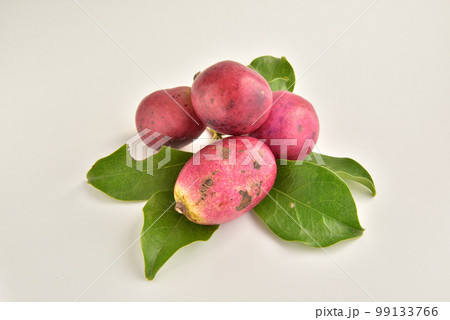 むべ ムベ アケビ科 ムベ属 秋の味覚 秋イメージ むべ ムベ アケビ科 ムベ属 秋の味覚 秋イメージ 99133766