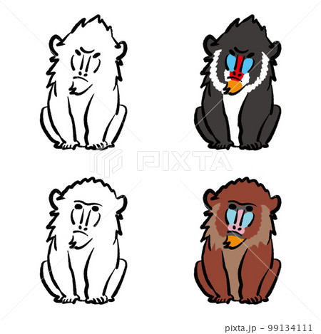 マンドリル イラスト ぬりえ セットのイラスト素材 [99134111] - PIXTA