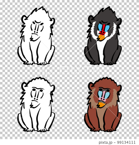 Mandrill illustration coloring set 99134111