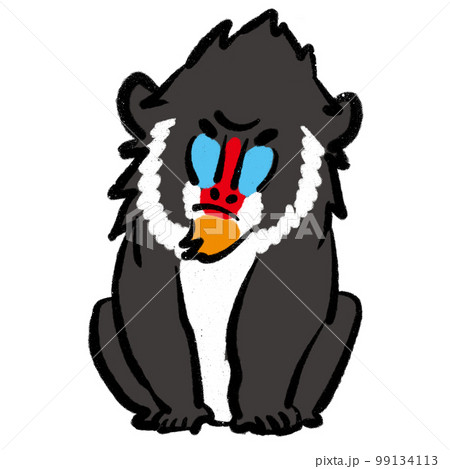 マンドリル イラストのイラスト素材 [99134113] - PIXTA