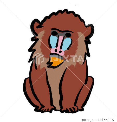 マンドリル イラストのイラスト素材 [99134115] - PIXTA
