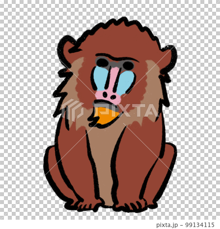 マンドリル イラストのイラスト素材 [99134115] - PIXTA