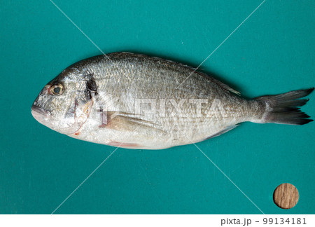 Raw dorada on a blue background. Top view 99134181