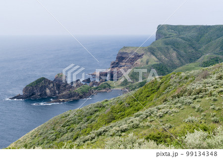 隠岐国賀海岸 99134348