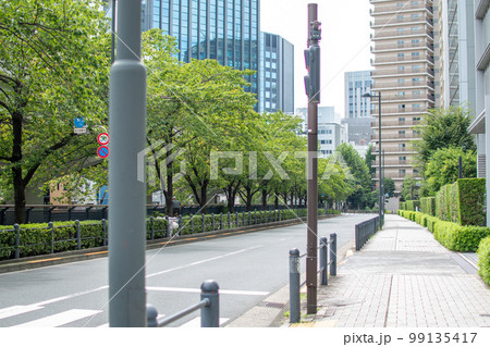 日本橋川沿い桜並木／東京都千代田区 99135417