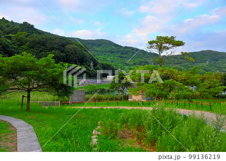 四国・愛媛・佐田岬半島・亀ヶ池温泉に隣接するキャンプ場、芝生広場の眺め・愛媛県伊方町 99136219