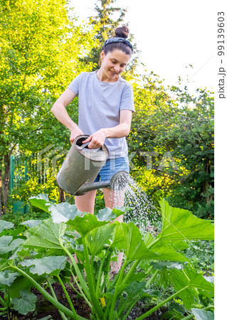 Gardening agriculture concept. Woman gardener farm worker holding watering can and watering irrigating plant. Girl gardening in garden. Home grown organic food. Local garden produce clean vegetables Gardening agriculture concept. Woman gardener farm worker holding watering can and watering irrigating plant. Girl gardening in garden. Home grown organic food. Local garden produce clean vegetables 99139603