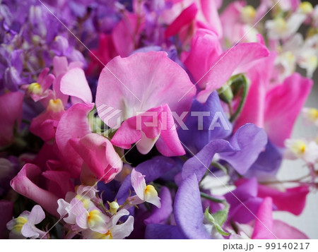 スイートピーのフラワーアレンジメント 99140217