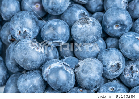 ブルーベリー ビルベリー 果物 ブルーベリー ビルベリー 果物 99140284