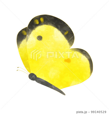 モンキチョウのイラスト素材 99140529