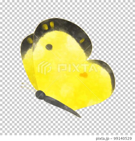 モンキチョウのイラスト素材 99140529