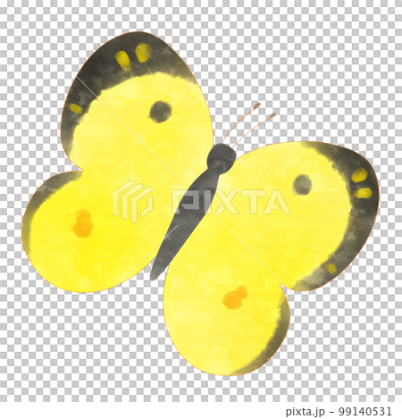 複製蝴蝶插圖素材 99140531