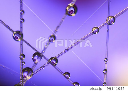 水滴とカラフルな背景 99141055