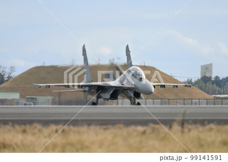 インド空軍スホーイSu-30MKIタキシング インド空軍スホーイSu-30MKIタキシング 99141591