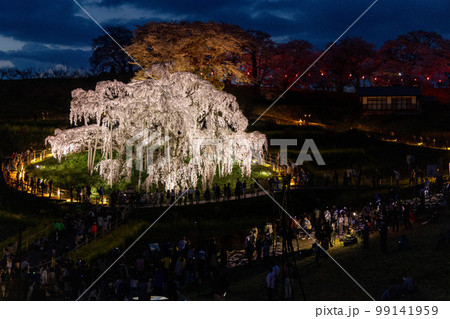 福島県三春の滝桜 福島県三春の滝桜 99141959