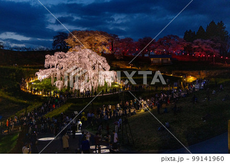 福島県三春の滝桜 99141960