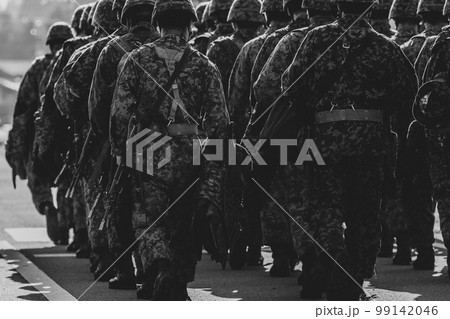 整列した自衛官(Lined Japanese infantry) 整列した自衛官(Lined Japanese infantry) 99142046