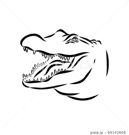 Hand-drawn pencil graphics, crocodile, alligator, croc. Engraving, stencil style. Black and white logo, sign, emblem, symbol. Stamp, seal. Simple illustration. Sketch. Hand-drawn pencil graphics, crocodile, alligator, croc. Engraving, stencil style. Black and white logo, sign, emblem, symbol. Stamp, seal. Simple illustration. Sketch. 99142608
