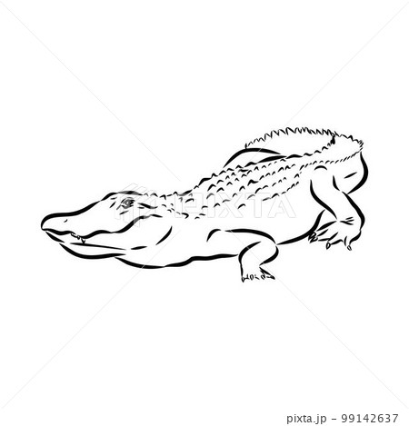 Hand-drawn pencil graphics, crocodile, alligator, croc. Engraving, stencil style. Black and white logo, sign, emblem, symbol. Stamp, seal. Simple illustration. Sketch. 99142637