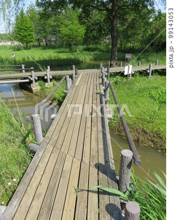 北柏ふるさと公園 水辺の散歩コース 北柏ふるさと公園 水辺の散歩コース 99143053