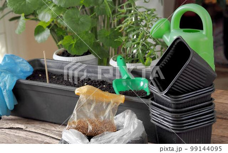 The process of early planting seeds. Spring agricultural background with earth, seeds, a box for planting seedlings, and other agricultural utensils. 99144095