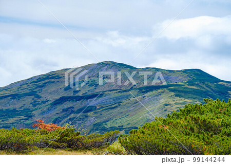 【北アルプス】薬師平から見た太郎山 99144244