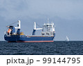 Huge cargo ship and small sailboat in the open sea. Concept of difference, diversity and distinction 99144795