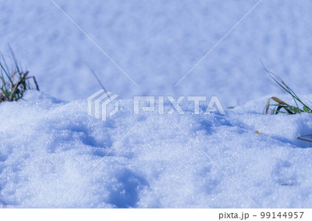 雪景色 雪景色 99144957