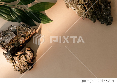 Plant background. Nature composition. Product placement. Cracked brown wood bark pieces green leaves decoration on beige copy space. 99145714