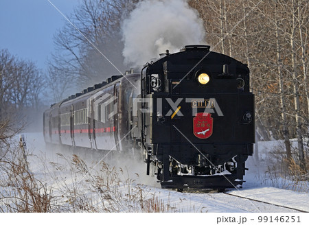 釧網本線　釧路湿原ー遠矢　JR北海道　C11-171＋14系＋スハシ44　SL冬の湿原号 99146251