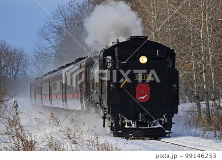 釧網本線　釧路湿原ー遠矢　JR北海道　C11-171＋14系＋スハシ44　SL冬の湿原号 99146253