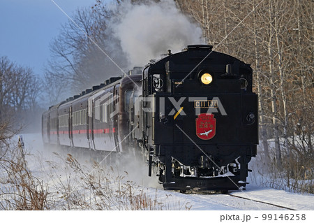 釧網本線　釧路湿原ー遠矢　JR北海道　C11-171＋14系＋スハシ44　SL冬の湿原号 99146258