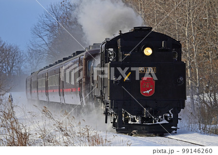 釧網本線 釧路湿原ー遠矢 JR北海道 C11-171+14系+スハシ44 SL冬の湿原号 釧網本線 釧路湿原ー遠矢 JR北海道 C11-171+14系+スハシ44 SL冬の湿原号 99146260