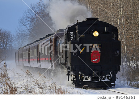 釧網本線　釧路湿原ー遠矢　JR北海道　C11-171＋14系＋スハシ44　SL冬の湿原号 99146261
