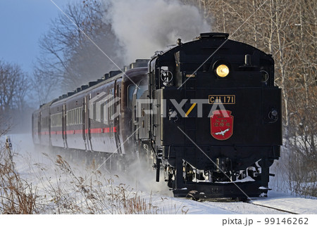 釧網本線 釧路湿原ー遠矢 JR北海道 C11-171+14系+スハシ44 SL冬の湿原号 釧網本線 釧路湿原ー遠矢 JR北海道 C11-171+14系+スハシ44 SL冬の湿原号 99146262
