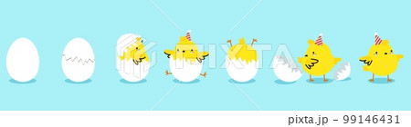 Chick hatching process, yellow chicken in eggs. Cute cartoon bird hatch egg and growth chickens. Scratch eggshell, nowaday newborn birthday vector concept Chick hatching process, yellow chicken in eggs. Cute cartoon bird hatch egg and growth chickens. Scratch eggshell, nowaday newborn birthday vector concept 99146431