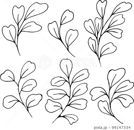 Set of graphic vector plant branches with leaves and flowers 99147334
