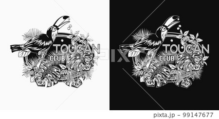 Ellipse label with toucan, lush tropical foliage, leaves, flowers. Bird sitting on branch and eating seeds. Detailed illustration on white, dark background for prints, clothing, t shirt Ellipse label with toucan, lush tropical foliage, leaves, flowers. Bird sitting on branch and eating seeds. Detailed illustration on white, dark background for prints, clothing, t shirt 99147677