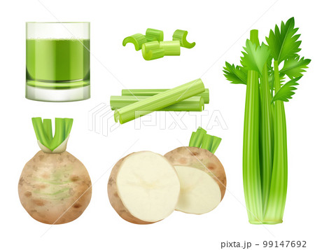 Green celery. Sliced pieces of vegan food green healthy smoothie decent vector pictures in realistic style Green celery. Sliced pieces of vegan food green healthy smoothie decent vector pictures in realistic style 99147692
