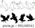 Set of realistic raven vector silhouettes for icons. Hand drawn style 99148541