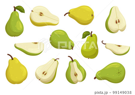 Set Of Fresh And Tasty Pears. Sweet, Juicy And Ripe Pears Of Yellow Or Green Colors. Whole And Sliced Fruits For Eating 99149038