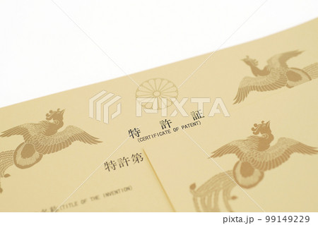 特許証 99149229