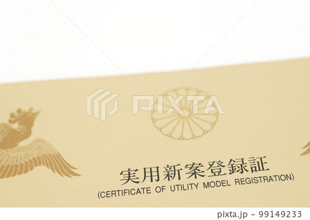 実用新案登録証 99149233