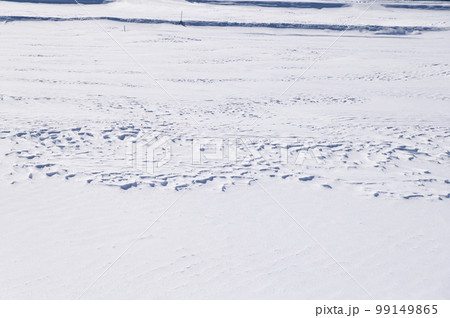 氷点下の世界 冬季の水田 99149865